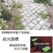 金德恩 一組15入 夜光路牌 園藝路牌 園藝布置 園藝地磚 園藝造景 插地磚 指示牌 螢光牌 車道地磚
