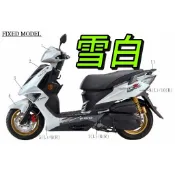 彪虎 雪白 車殼  TIGRA150 ABS 彪虎全車殼 飆虎 地瓜 特仕板 擋風板 車身蓋 前土除 PGO 比雅久