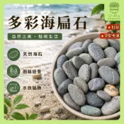【欣榮園藝490全省免運】多彩海扁石 1kg 彩繪石頭 庭院造景 烏龜曬台 疊石 多肉植物裝飾 寵物石頭 扁石