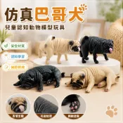 🌈「美可動物模型」仿真狗狗兒童認知巴哥哈巴狗八哥寵物犬裝飾擺件玩具