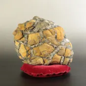 🍔天磨店Gtk 20  1990年國姓鄉山採龜甲石龜包 不管心情怎樣.世界給你一個美好