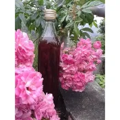 如意的家 陳年梅子醋(絕無噴灑農藥)