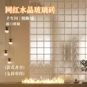 【臺灣出貨】玻璃磚 水晶磚 隔斷牆 衛生間超白透光 不透人客廳玻璃牆水晶透明屏風