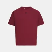 【UNDER ARMOUR】UA 男 APAC LNY 短T-Shirt_6014315-625
