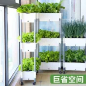 千織屋 陽台種菜專用盆 家庭種植箱 蔬菜種植盆 多層加厚長方形花盆 自動吸水懶人花盆 盆栽花盆
