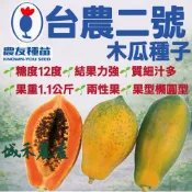 城禾農產🍃 台農二號木瓜種子 20粒 木瓜種子 台農木瓜種子 台農2號木瓜種子 台農2號種子 木瓜種子 木瓜籽 木瓜子