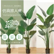 ❤️宅配免運費❤️民雄出貨❤️有開發票可打統編 公司報帳 大型北歐仿真植物 假樹 假植物 旅人蕉客廳裝飾散尾葵盆栽假綠植