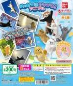 現貨 BANDAI 開心跳躍動物公仔 扭蛋 整套6款 短尾矮袋鼠 小熊貓