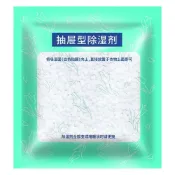 (店+)抽屜型除濕包-2入/袋 衣物乾燥劑 防潮除濕袋 宿舍衣櫃防黴 小包室內吸潮 床上被子吸濕神器