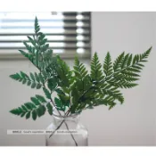 協貿國際日用品生活5館 永生蕨類植物 北歐風 日系 高山羊齒青綠色墨綠色