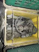 星艦 等鈴木老車鼓碟前叉有多組/另有卡鉗總泵油管等 #箱? 廉售先問-得標1螺絲