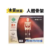 (店+)DIY木質拼圖 人體骨架 G-P076 /一個入 B2 四聯木製拼圖 3D立體拼圖 3D拼圖 木製模型 骨骼模型
