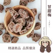 真善美食品 【日生元】甘甜梅 300g 甜菊梅 梅子 酸梅
