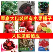 （原廠大包裝水果種子）盆栽小西瓜#熱情果#櫻桃車厘子#紅果參#紅毛丹#火參果#木奶果#黑樹莓桑葚#羊奶果#石榴稀有品種