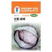 (店+)【天橙種子】甘藍-紫峰種子  SV-115 約1公克 紅甘藍 高麗菜 特選種子 結球類 農友種苗 彩色原包裝