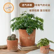 布拉格奇幻生活 免運 公司貨 仿真 粗陶盆復古小花盆花園陽臺多肉陶土透氣吸水泥瓦盆花架花卉種植盆 可開發票 全館五折 工廠現貨直銷 新品特價 BLGQHSH1225