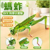 藍象科學小實驗 螞蚱DIY手工拼插 科學玩具 昆蟲認知科普 教育科學小製作 國小生STEAM材料 益智動手做 親子共學
