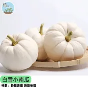 【超可愛白色小南瓜】白貝貝南瓜種子 栗子南瓜 一株多果 陽台可種 口感鬆軟香甜 家庭菜園 新手易種 四季播種