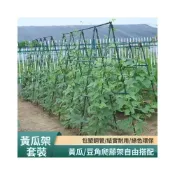 (店+)蔬菜植物黃瓜豆角爬藤架子四季豆種菜專用架子西紅柿搭架桿清倉