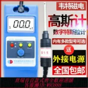 輝煌匯購 {臺灣公司貨 可打統編}韋特WT10A/B/D/E特斯拉計高斯計磁力計WT10C磁場強度測試儀WT106