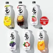 【CHI FOREST 元氣森林】無糖氣泡水480ml*15瓶入/箱
