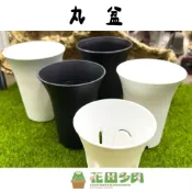 (店+)《花田多肉》🌵【丸盆】  花盆/塑膠盆/多肉植物/仙人掌/塊根植物/觀葉植物/龍舌蘭