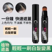 一次性 遮蓋白髮  補染棒 染髮刷 髮際線 染髮膏