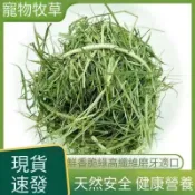 【毛孩專屬牧草堂】一割二割提摩西苜蓿燕麥草甜小麥百慕達綜合牧場牧草 高纖適合兔龍貓天竺鼠日常主食