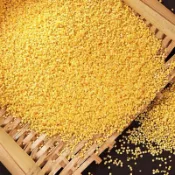 小米/一斤45破盤價 /附發票/降價回饋/月子米/小米粥/糯小米/小黃米/寶寶米/黃小米/SGS/興妍誠五穀健康糧