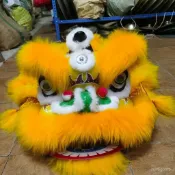 ✨桃園有貨✨舞獅兒童國潮舞獅子玩具舞獅頭幼兒錶演道具舞獅子頭套獅結婚拍照 YHT6