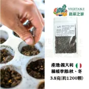 (店+)【蔬菜之家】A59.捲葉羽衣甘藍青舞種子3.8克約1200顆 捲葉羽衣甘藍 14天採收 苗菜 寶寶菜 綠