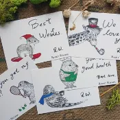 動物插畫明信片 (萬用空白款)