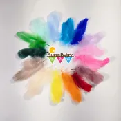 派對城 現貨【彩色羽毛_1包入】輕羽毛 絨毛 美勞 DIY手作 波波球/泡泡球添加內容物