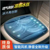 東方國際精品 （爆款熱賣）（國際精品）【免運】通風坐墊 冷風坐墊 汽車通風坐墊 涼感坐墊 家用車用坐墊 汽車坐墊 涼風坐墊 冷氣坐墊 車用通風坐墊