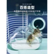 🔥現貨供應中 快速出貨🚚 倉鼠透明浴室 倉鼠廁所 倉鼠浴室 黃金 適合:一線鼠/楓葉/蜜袋/老公公/倉鼠/銀狐/布丁鼠