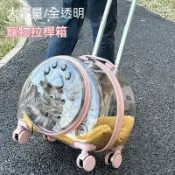 貓包寵物拉桿箱外出  便攜貓咪揹包透明狗包  太空艙行李箱透明大容量