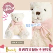 《A’sD 現貨+預購 🇬🇧 正品》Harrods 熊熊 天鵝 可愛熊熊 Christmas Goose
