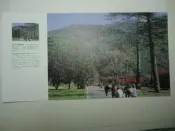 明信片- 空白明信片 武陵農場 明信片
