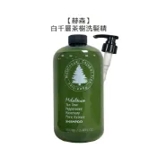 赫森 白千層茶樹洗髮精 1000ml 洗髮精 涼感 精油 溫和 控油 止癢 去屑 洗髮【堤緹美妍】