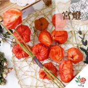 (店+)乾燥宮燈 宮燈 極度花燥 花材 果實 配花 永生花 乾燥花 不凋花 萬聖節 聖誕節 耶誕