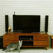 【吉迪市100%全柚木家具】RPTV012 柚木四抽電視櫃 客廳 收納