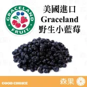 【森果食品】美國進口 Graceland 野生小藍莓乾 小藍莓乾 藍莓乾 現貨 賣家分裝