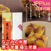 日本原裝 なごみの米屋 栗子羊羹 極上羊羹 50g  310g 成田山表參道老舖 一口羊羹 和菓子 日式點心