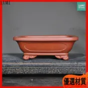 紫砂花盆 長方形 盆景盆 雲足 古典 菖蒲盆 陶瓷花盆 多肉盆栽 蘭花盆器 桌面擺飾 粗陶盆 小花盆 微景觀 盆器