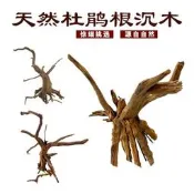 【滿300出貨】魚缸造景沈木棲根杜鵑根布景水流木草缸裝飾樹根莫斯樹枝樹頭