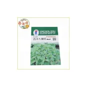 (店+)【向花緣】農友 西洋九層塔 - 香藥草種子