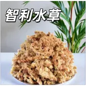 【雅植園藝】 智利水草 水草 乾燥水草 智利水苔 鹿角蕨 蘭花 蕨類植物水草