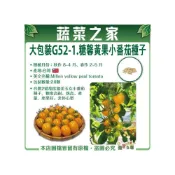 (店+)【蔬菜之家】00G52-1大包裝.糖馨黃果小番茄種子28顆 台農2號 甜度媲美 玉女 小番茄種子 糖度高 耐
