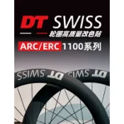 DT SWISS ARC/ERC1100公路車輪組貼紙 DICUT DB 45 50 62塗裝改色 自行車輪組改色貼紙