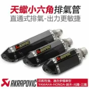 楓林宜居 類蠍 仿排氣管改裝 蠍子 直通 小六角 排氣管 r15v3 r3改裝 force smax ninja400 改裝排氣管